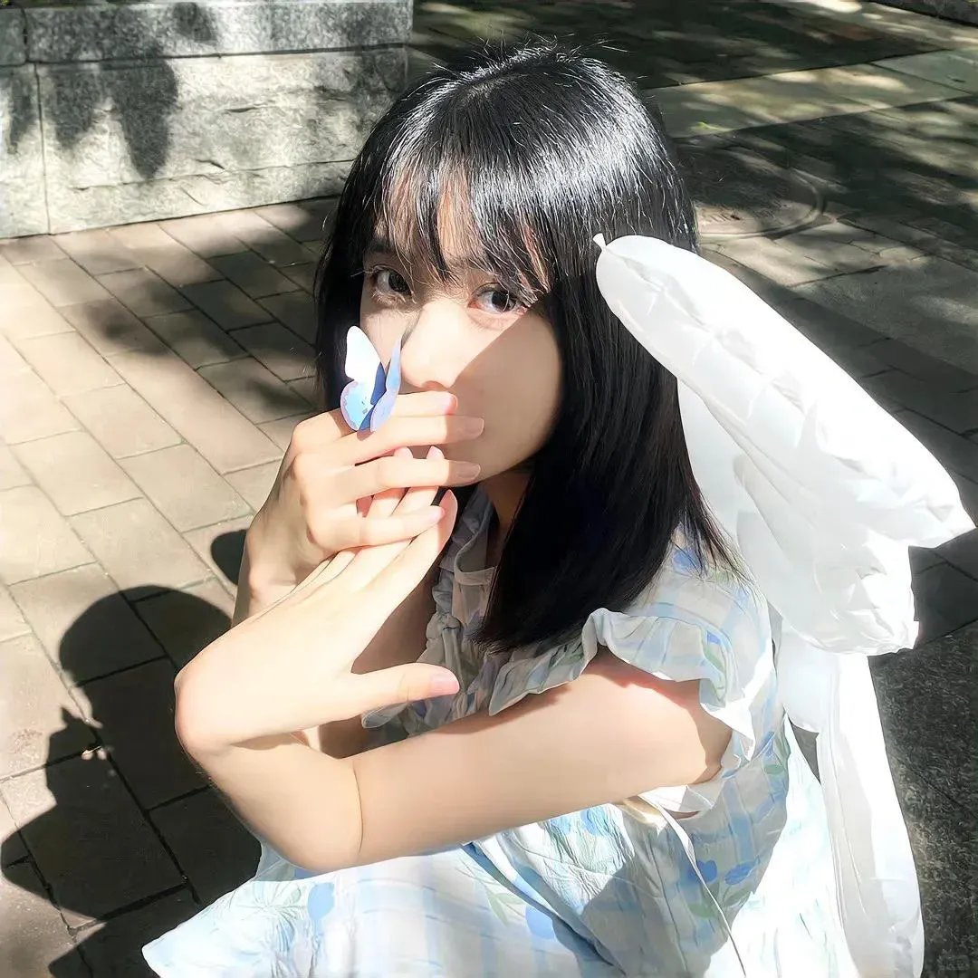 法网缉凶